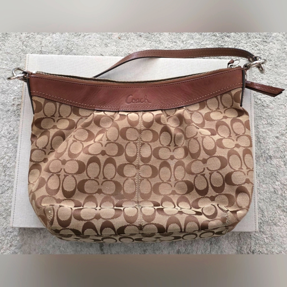Brown Coach Hobo Should Bag